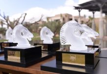 GDM Awards 2015 – Modern Cars