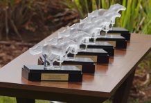 GDM Awards 2016 – Modern Cars