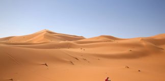 Afriquia Merzouga Rally 8 e édition Afriquia - Gentlemen Drivers