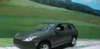 Porsche Cayenne : Crapahuteur